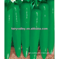 Vegetable Seeds Pepper Seeds Company Hybrid Hot Green Sharp Pepper Red Chili Seeds